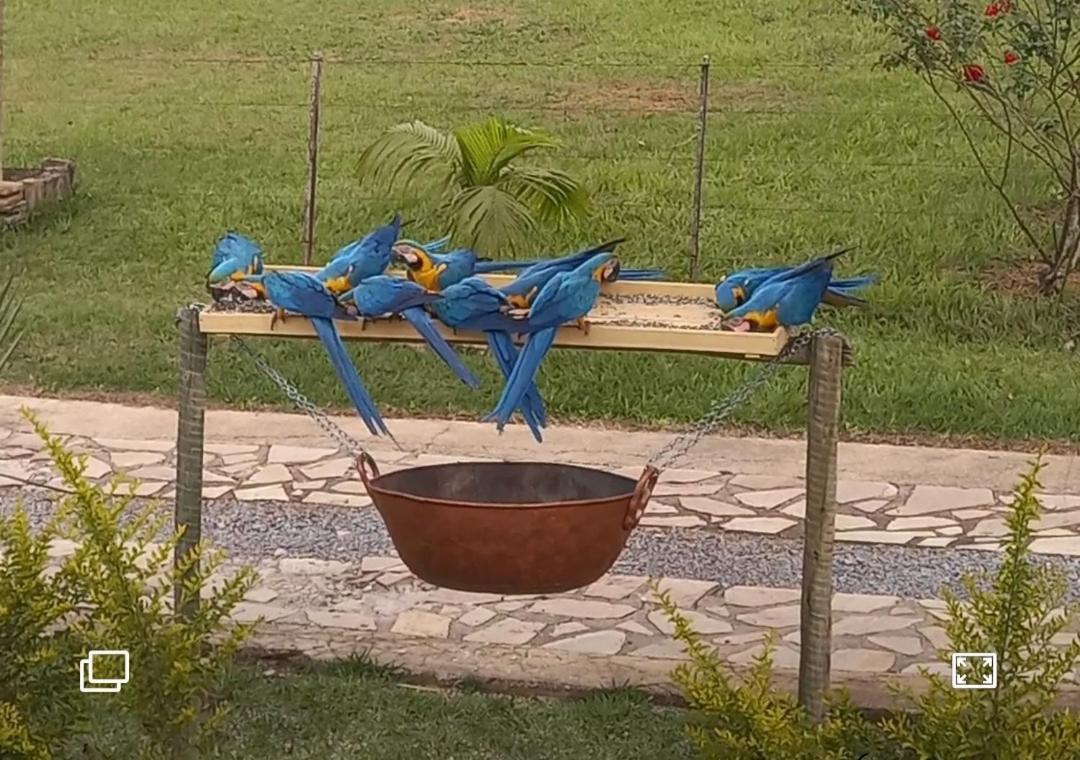 Pousada Canto Dos Passaros Alto Paraíso de Goiás Exterior foto