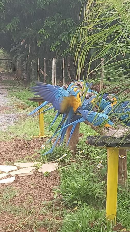 Pousada Canto Dos Passaros Alto Paraíso de Goiás Exterior foto