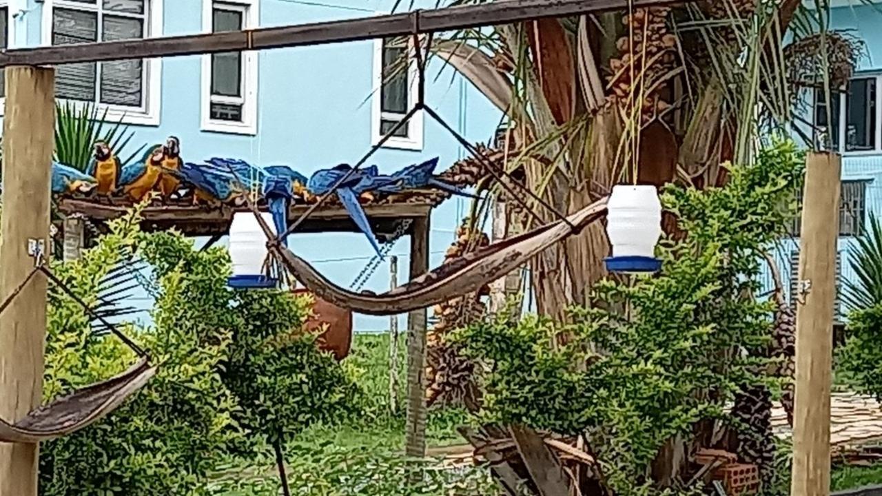 Pousada Canto Dos Passaros Alto Paraíso de Goiás Exterior foto