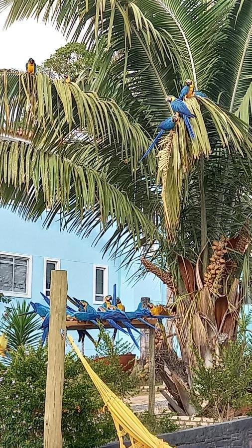 Pousada Canto Dos Passaros Alto Paraíso de Goiás Exterior foto