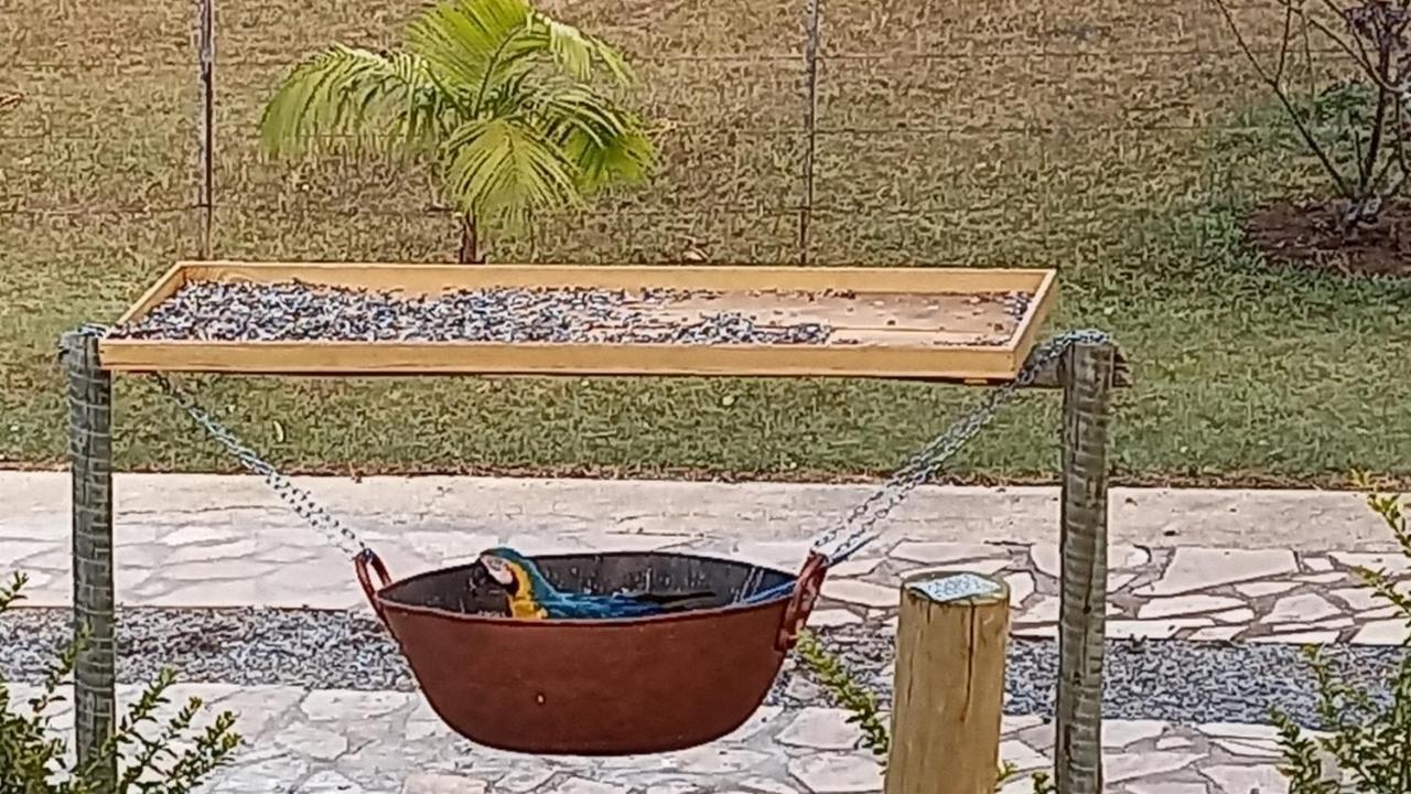 Pousada Canto Dos Passaros Alto Paraíso de Goiás Exterior foto